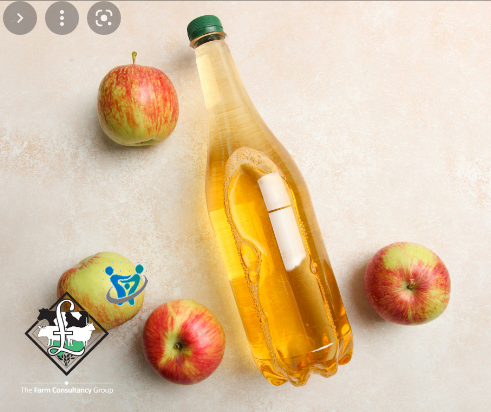 فوائد خل التفاح للكرش 4 فوائد خل التفاح للكرش